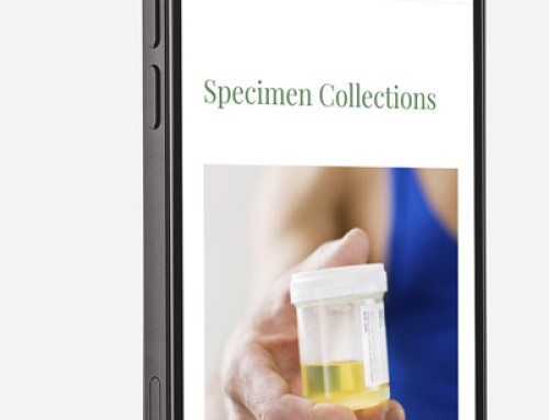 Global Drug, DNA and Alcohol Testing