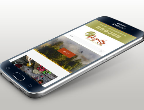 Dragonfly Wellness Center